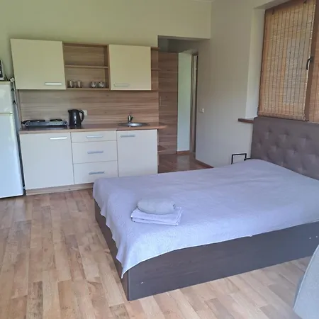 Butas Apartamentai Su Jaukiu Kiemu- Soley Apartamentai No1 *